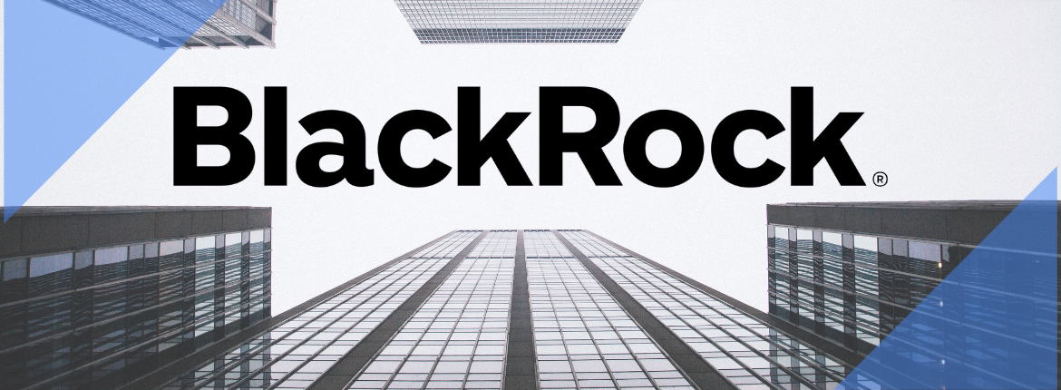 BlackRock_Summer_Internship_Program_2025